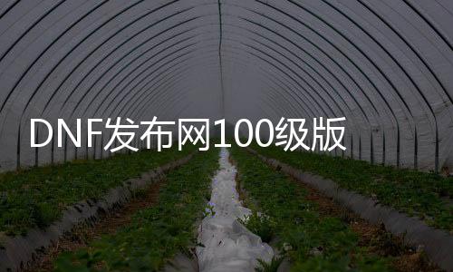 DNF发布网100级版本刺客（DNF发布网100级刺客装备）